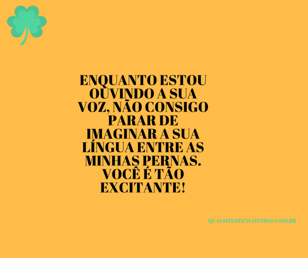 Enquanto estou ouvindo a sua voz, não consigo parar de imaginar a sua lingua entre as minhas pernas. Voce é tão excitante!